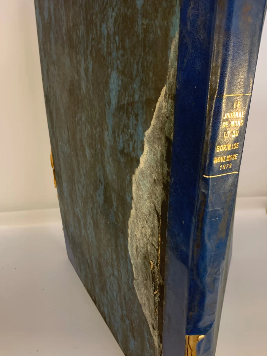 4 Le journal de Mons et du Borinage boeken