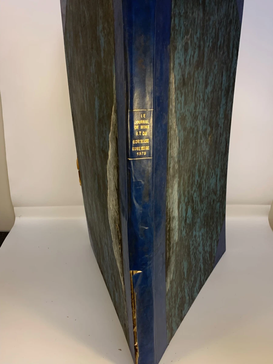 4 Le journal de Mons et du Borinage boeken