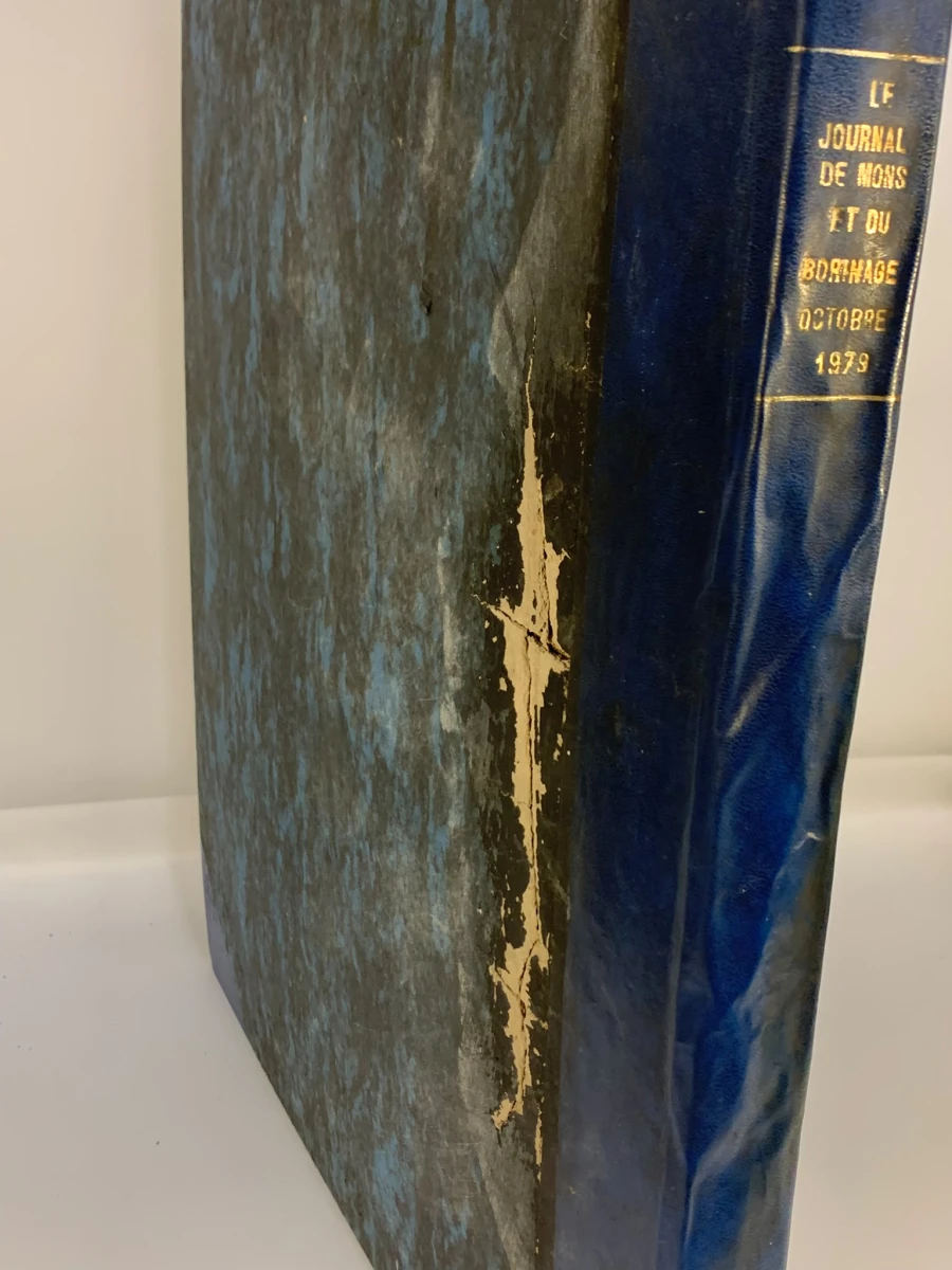 4 Le journal de Mons et du Borinage boeken