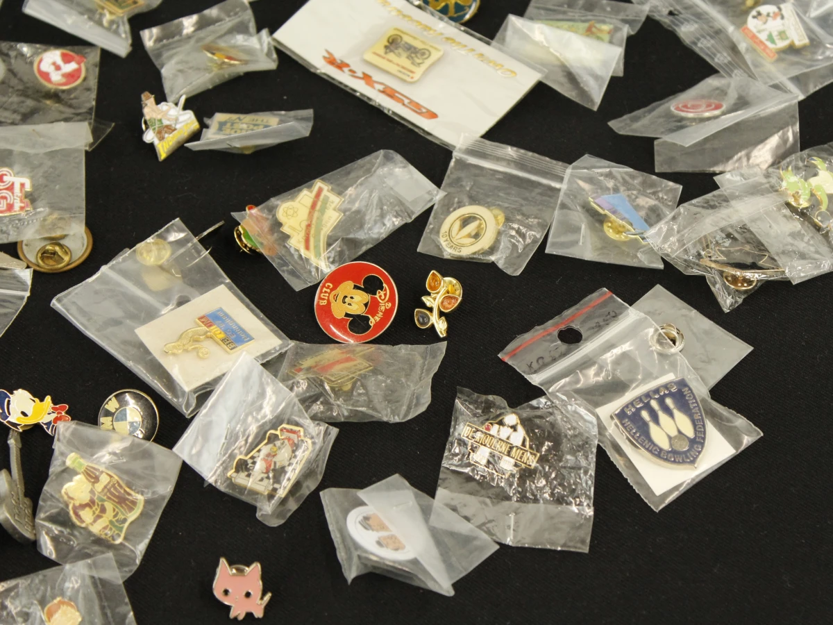 Verzameling 100 pin badges in zakjes