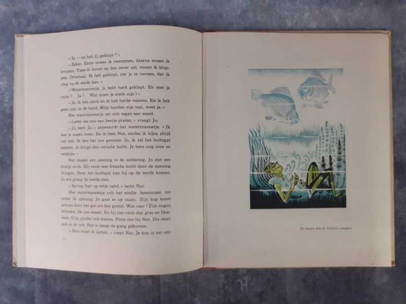 Boek: Het Watermannetje - foto 5