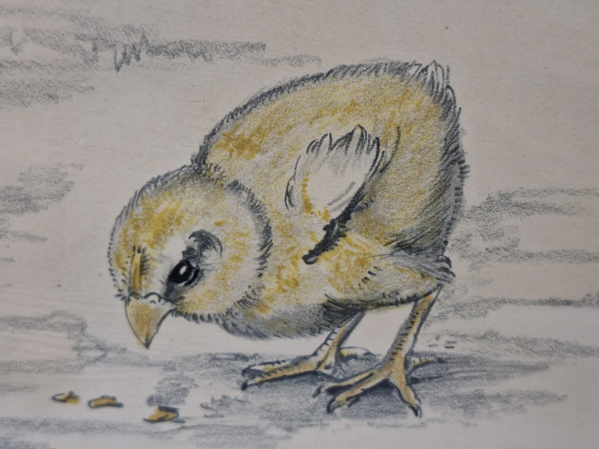 originele Art Deco steendruk (ca. 1930) - "Kip met kuikens" - Berend Sluyterman