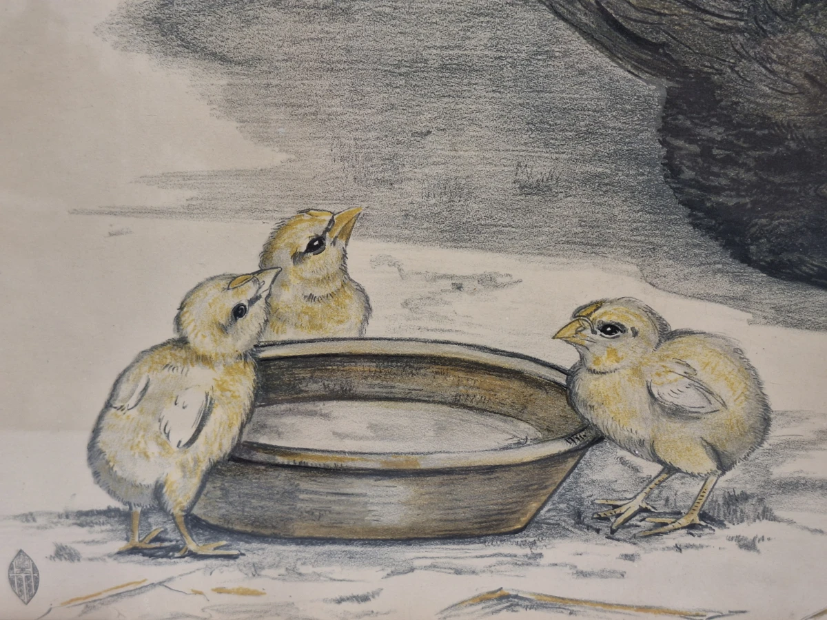 originele Art Deco steendruk (ca. 1930) - "Kip met kuikens" - Berend Sluyterman