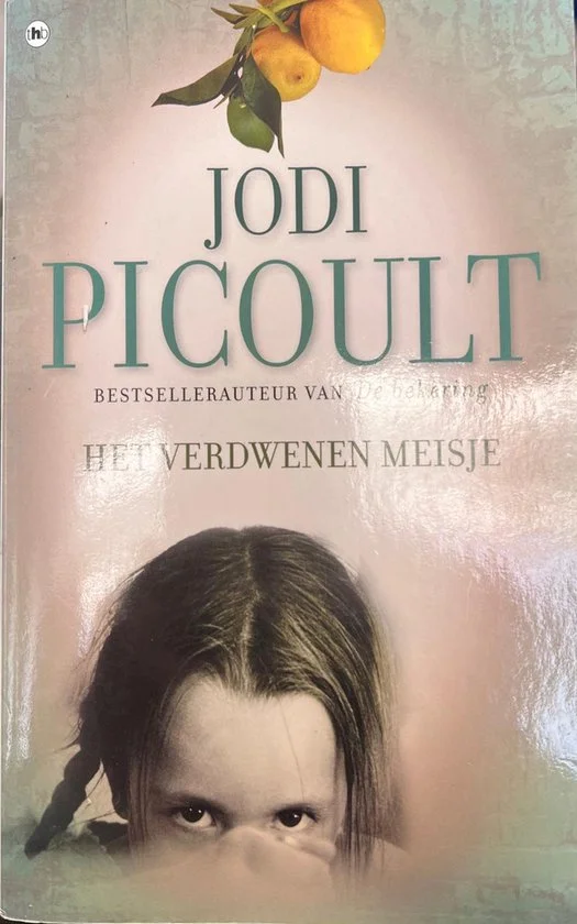 Het verdwenen meisje