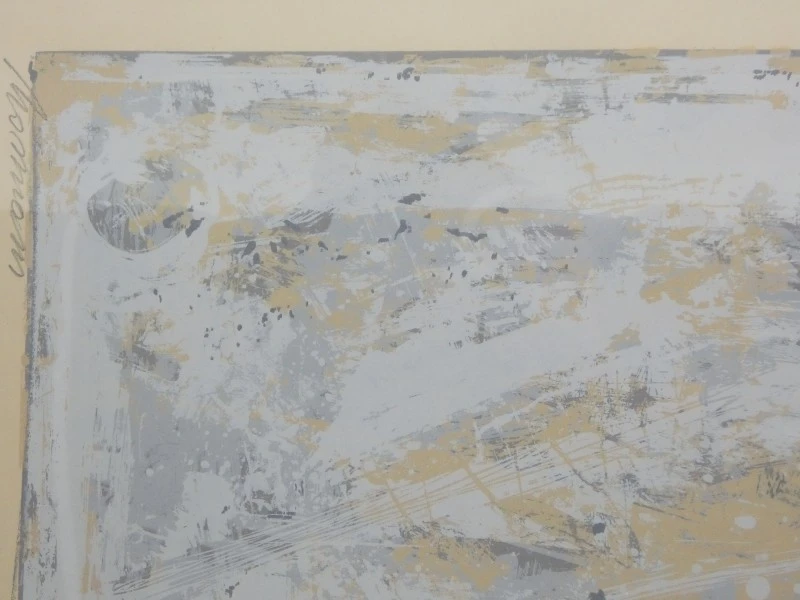 Abstracte ingelijste zeefdruk gesigneerd