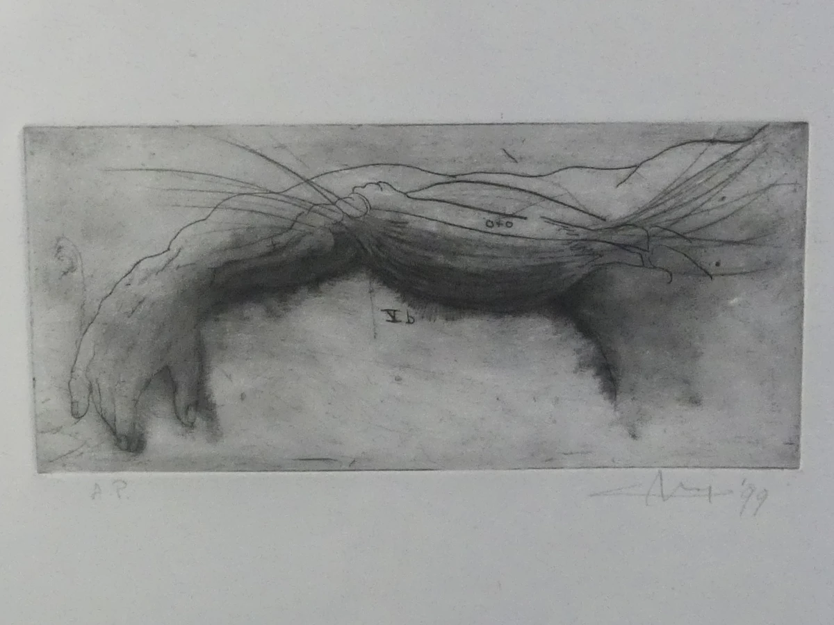 Ets anatomiestudie arm en spieren