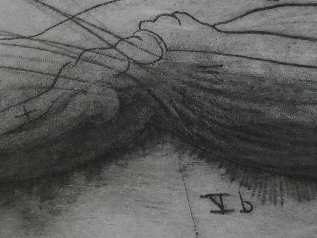 Ets anatomiestudie arm en spieren