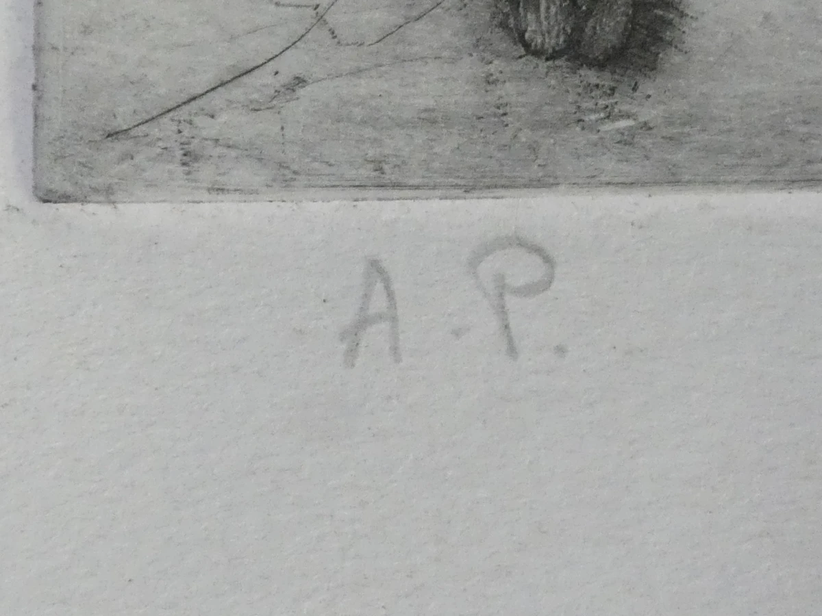 Ets anatomiestudie arm en spieren