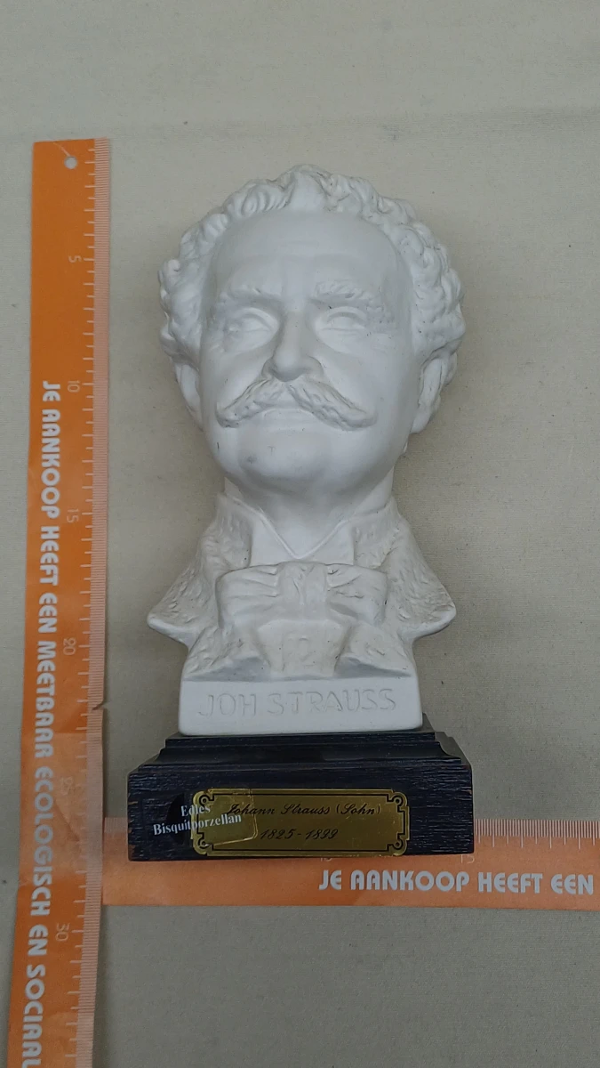 Set van 5 porseleinen bustes van klassieke componisten