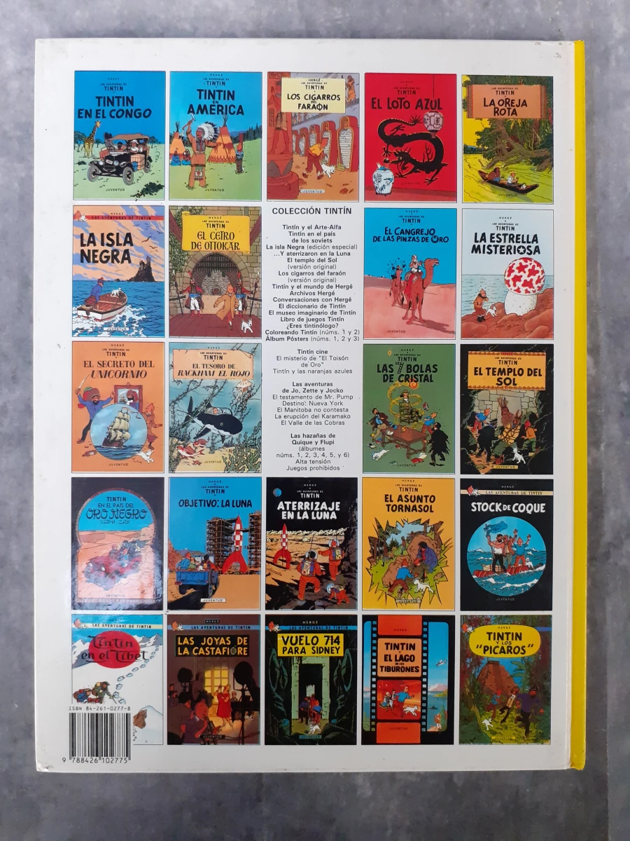 Strips: Verzameling Kuifje albums in divers talen - foto 20