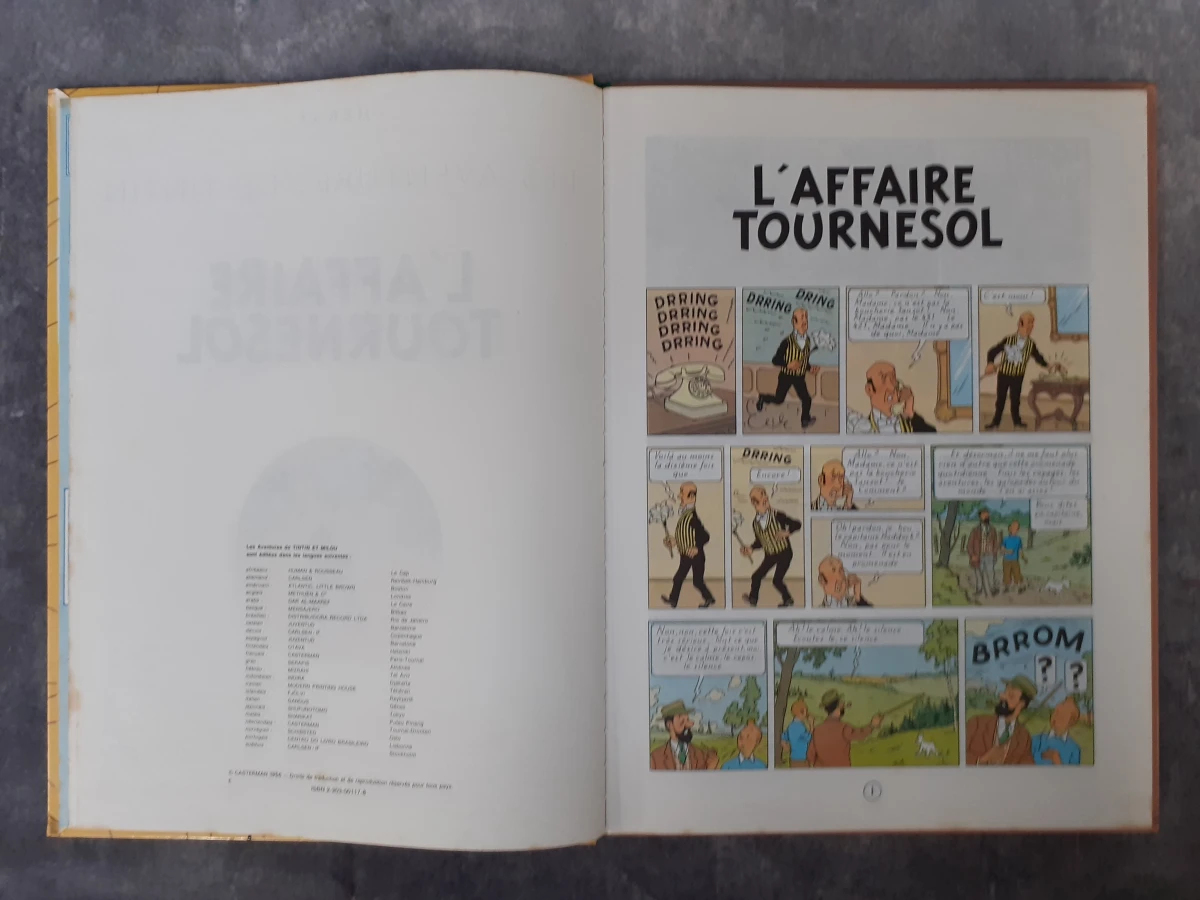 Strips: Verzameling Kuifje albums in divers talen - foto 3