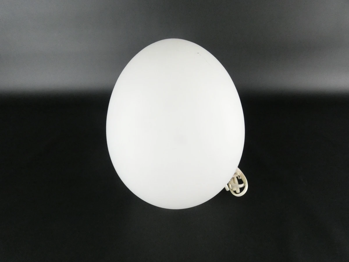 Witte eivormige tafellamp