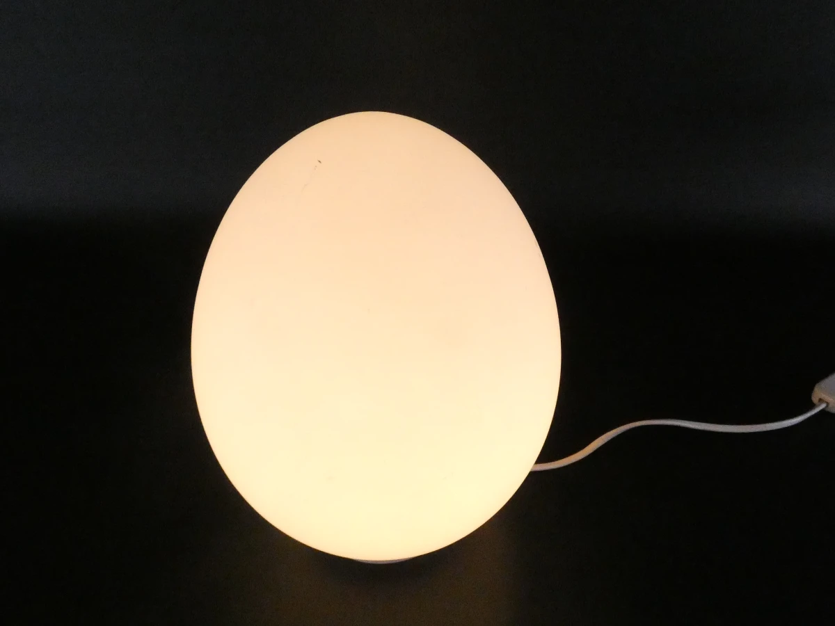 Witte eivormige tafellamp