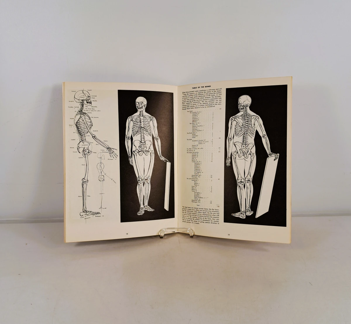 Lot van 8 vintage Walter T. Foster teken- en schilderhandleidingen, jaren 50-70