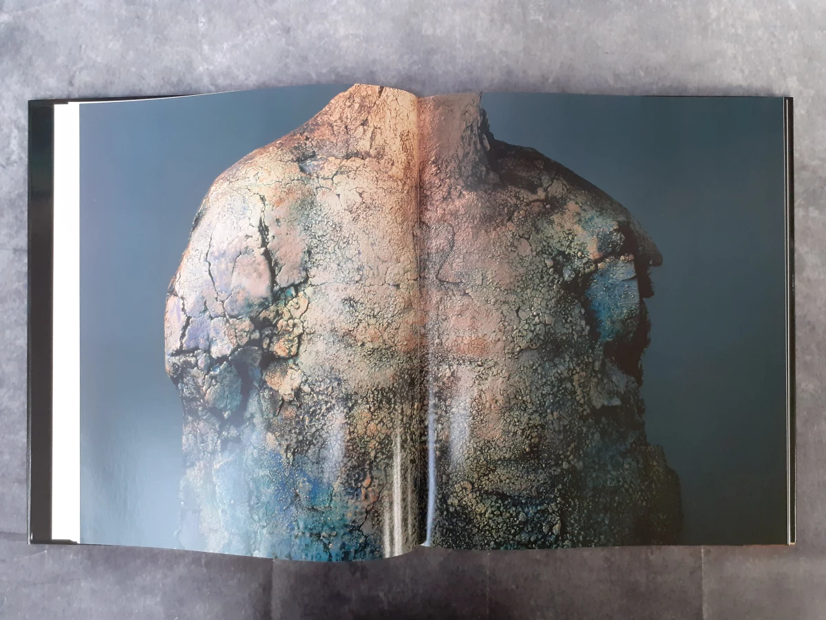 Boek: Carmen Dionyse: My Art, My Universe 2 - foto 4