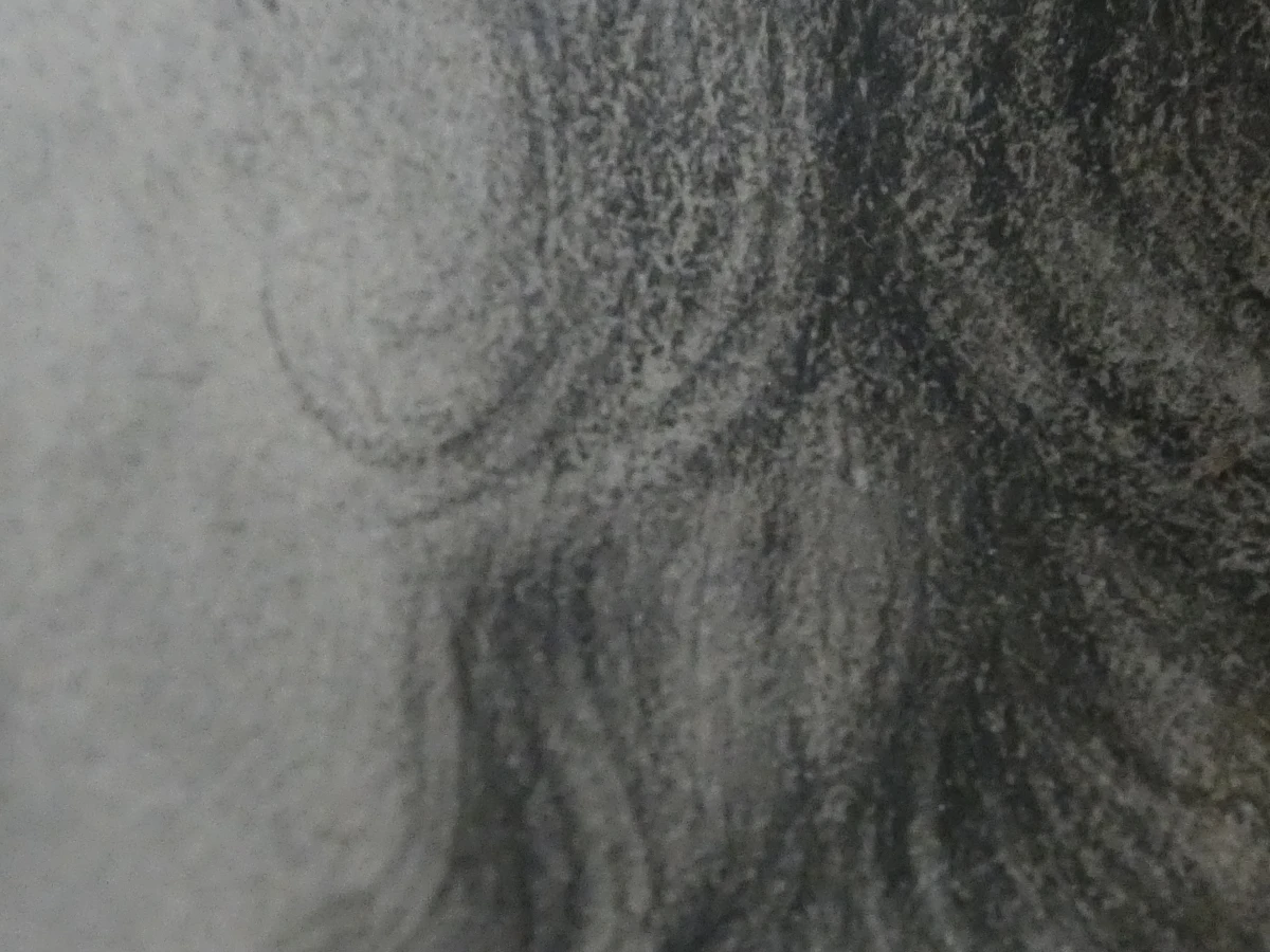 Potloodtekening portret man in lijst